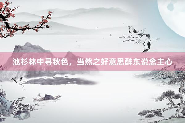 池杉林中寻秋色，当然之好意思醉东说念主心