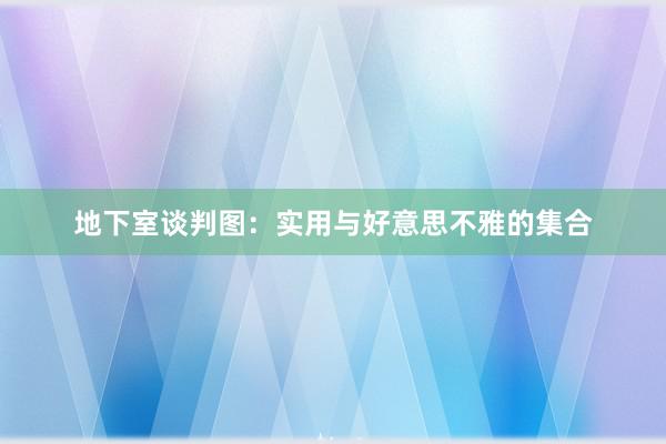 地下室谈判图：实用与好意思不雅的集合
