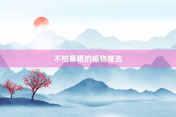 不怕暴晒的植物推选